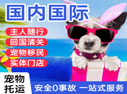 大兴安岭鄂伦春国际宠物托运 【国